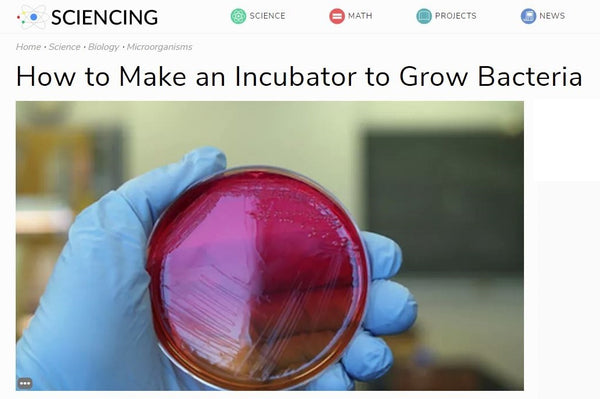 The Sciencing headline.